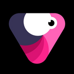 Img 1204 Ico.png