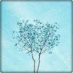 Blue Aesthetic Wallpaper HD